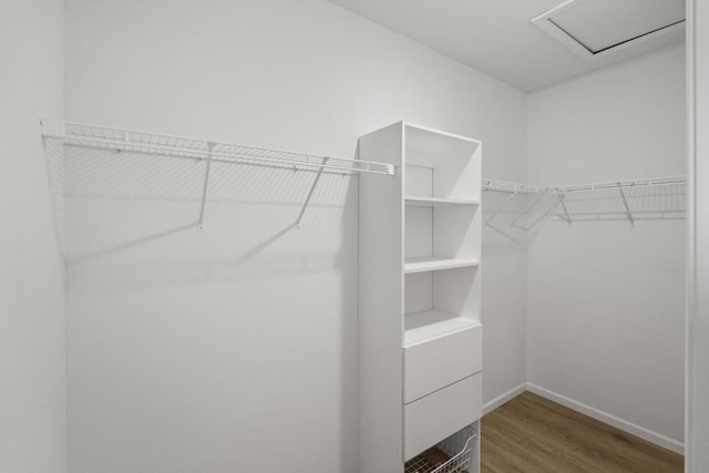 7748 Sophies Way, Harbor Springs, MI 49740 - spacious closet featuring wood finished floors