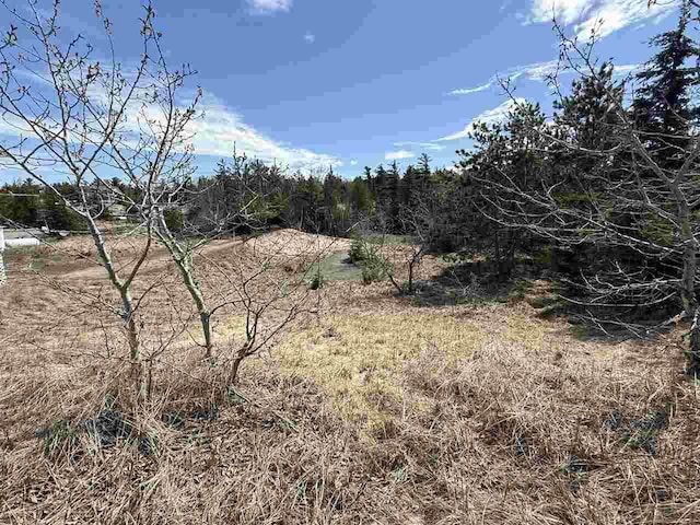 8439 Sturgeon Bay Dr, Harbor Springs, MI 49740