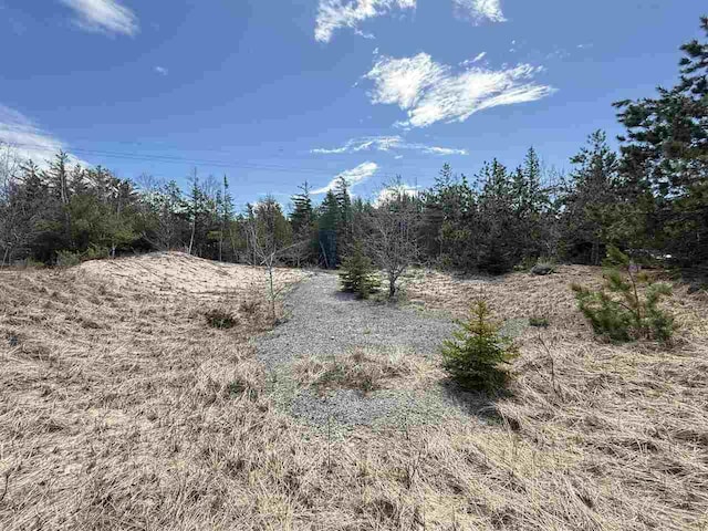8439 Sturgeon Bay Dr, Harbor Springs, MI 49740