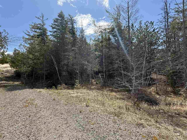 8439 Sturgeon Bay Dr, Harbor Springs, MI 49740