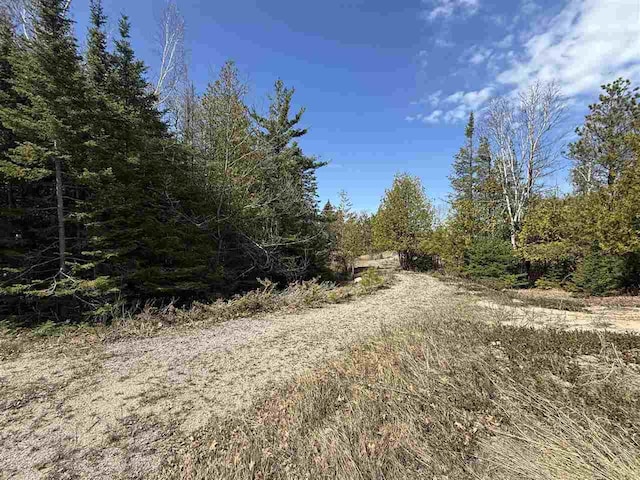 8439 Sturgeon Bay Dr, Harbor Springs, MI 49740