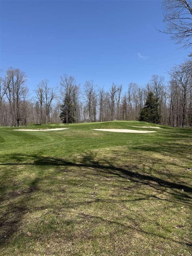 872 Aronimink Dr, Harbor Springs, MI 49740