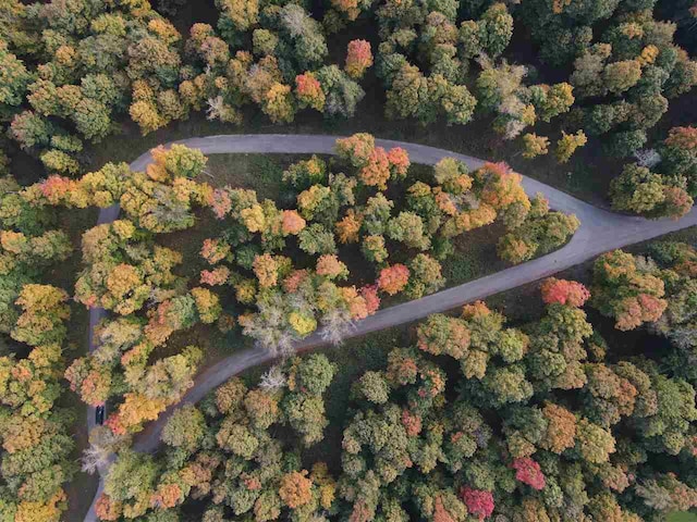 872 Aronimink Dr, Harbor Springs, MI 49740
