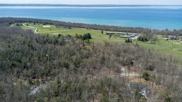 1359 Timber Pass, Harbor Springs, MI 49740