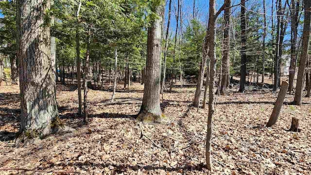 1359 Timber Pass, Harbor Springs, MI 49740