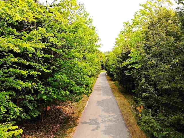 5945 Lodgepole, Harbor Springs, MI 49740