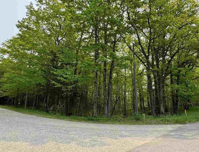 5945 Lodgepole, Harbor Springs, MI 49740