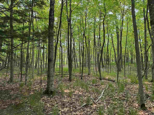 5945 Lodgepole, Harbor Springs, MI 49740