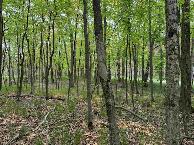 5945 Lodgepole, Harbor Springs, MI 49740