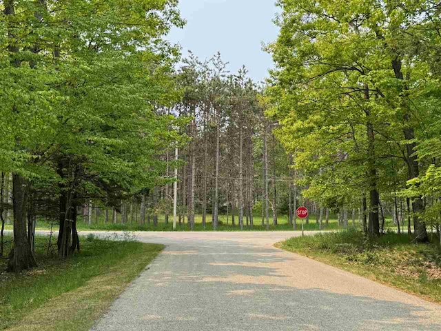 5945 Lodgepole, Harbor Springs, MI 49740