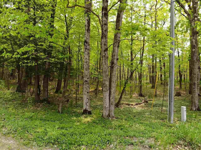 5945 Lodgepole, Harbor Springs, MI 49740