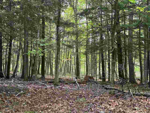 5945 Lodgepole, Harbor Springs, MI 49740
