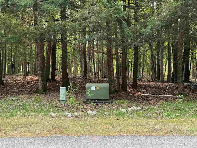 5945 Lodgepole, Harbor Springs, MI 49740