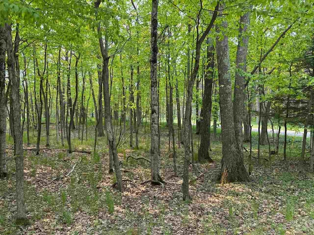 5945 Lodgepole, Harbor Springs, MI 49740