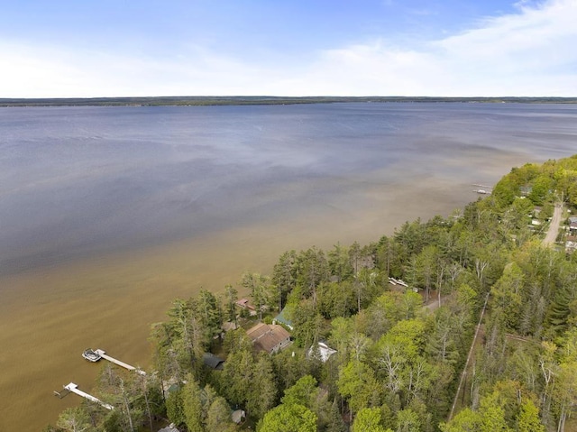 21677 Bluffs Hwy, Onaway, MI 49765 - view of property location with a large body of water