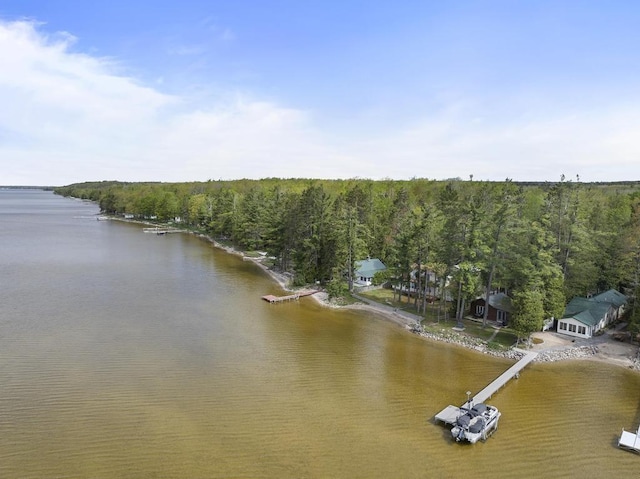 21677 Bluffs Hwy, Onaway, MI 49765 - bird's eye view of a large body of water and a heavily wooded area