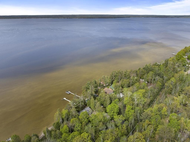 21677 Bluffs Hwy, Onaway, MI 49765 - view of property location featuring a large body of water
