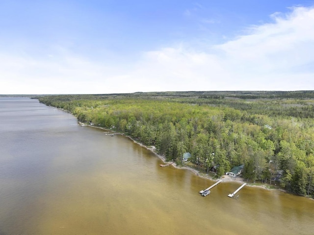 21677 Bluffs Hwy, Onaway, MI 49765 - aerial view of property and surrounding area featuring a large body of water and a heavily wooded area