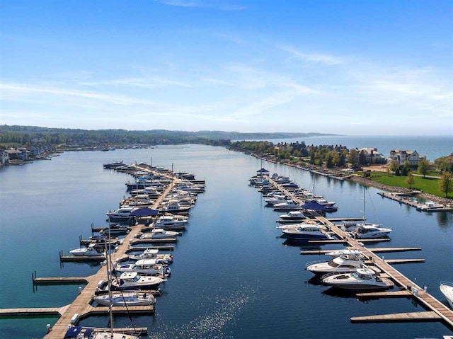 824 Vista Dr Unit 64, Bay Harbor, MI 49770 - water view with numerous boat docks