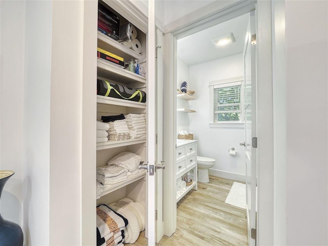 103 Riverwalk Ln Unit 103, Charlevoix, MI 49720 - walk in closet featuring light wood-style floors