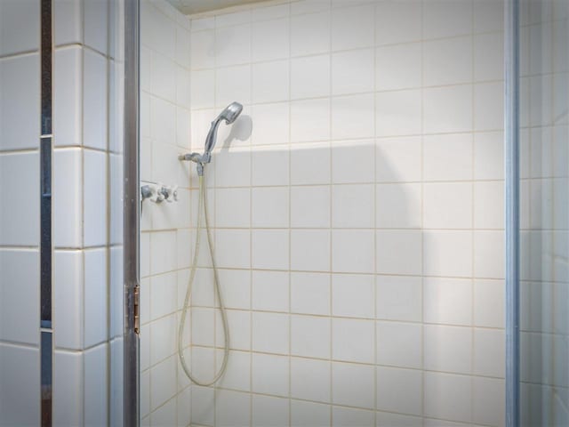 7671 Hoyt Rd, Harbor Springs, MI 49740 - full bathroom featuring a stall shower
