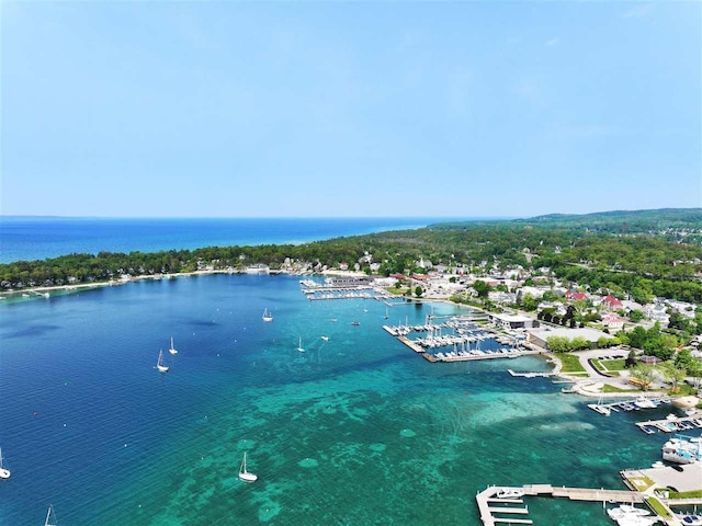 7671 Hoyt Rd, Harbor Springs, MI 49740 - drone / aerial view of a nearby body of water and numerous boat docks