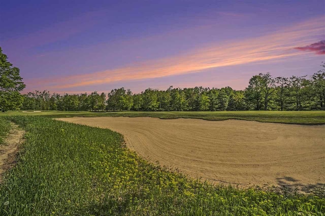 4121 E Ridge Ct, Harbor Springs, MI 49740