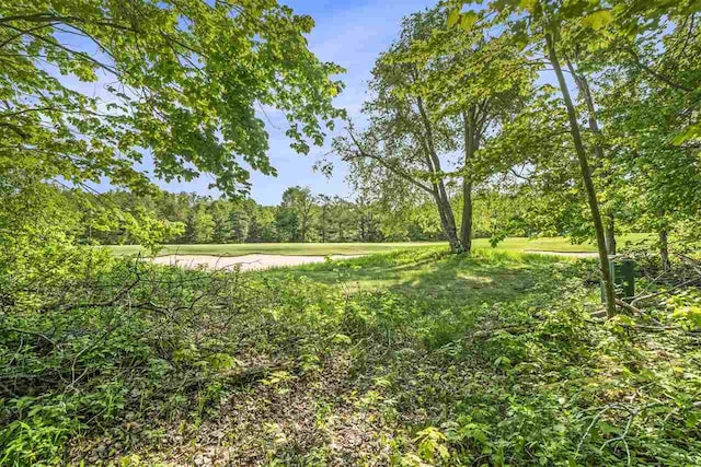 4121 E Ridge Ct, Harbor Springs, MI 49740