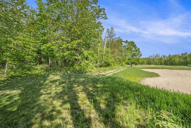 4121 E Ridge Ct, Harbor Springs, MI 49740