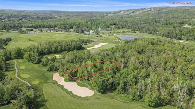 4121 E Ridge Ct, Harbor Springs, MI 49740