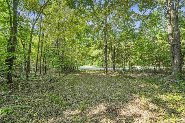4121 E Ridge Ct, Harbor Springs, MI 49740