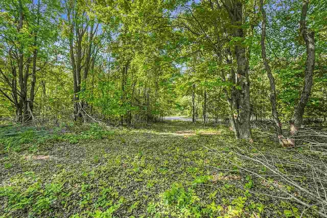 4121 E Ridge Ct, Harbor Springs, MI 49740