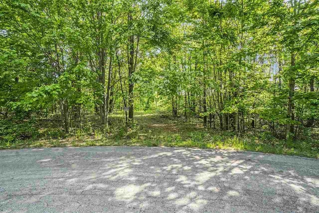 4121 E Ridge Ct, Harbor Springs, MI 49740
