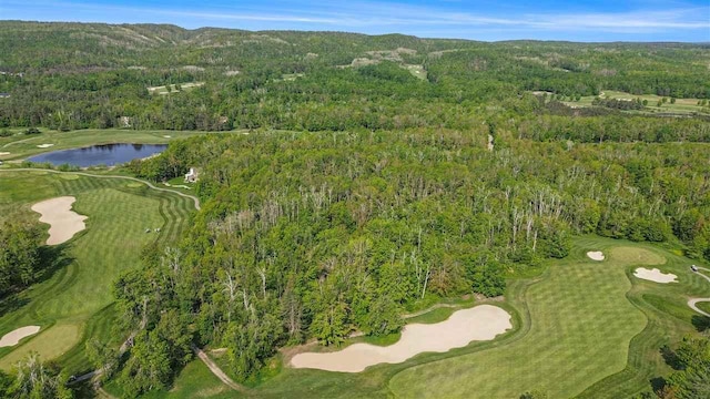 4121 E Ridge Ct, Harbor Springs, MI 49740