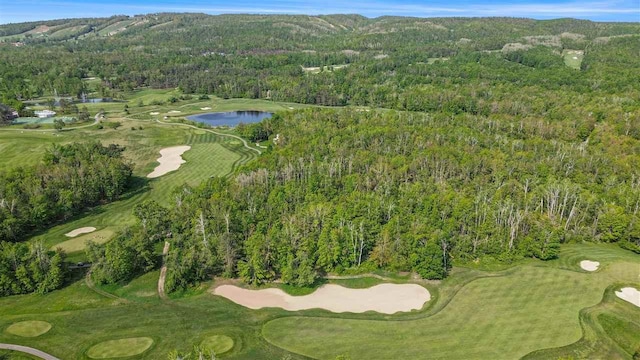 4121 E Ridge Ct, Harbor Springs, MI 49740