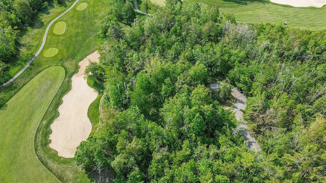 4121 E Ridge Ct, Harbor Springs, MI 49740