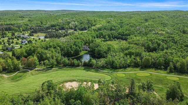 4121 E Ridge Ct, Harbor Springs, MI 49740