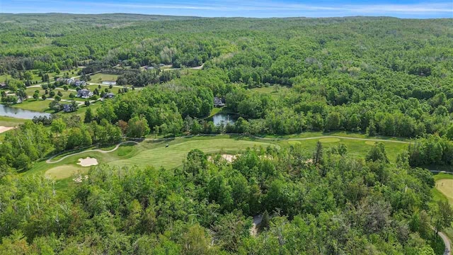 4121 E Ridge Ct, Harbor Springs, MI 49740