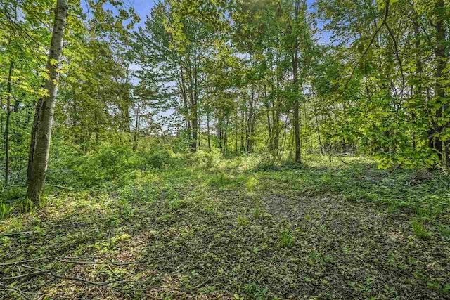 4121 E Ridge Ct, Harbor Springs, MI 49740