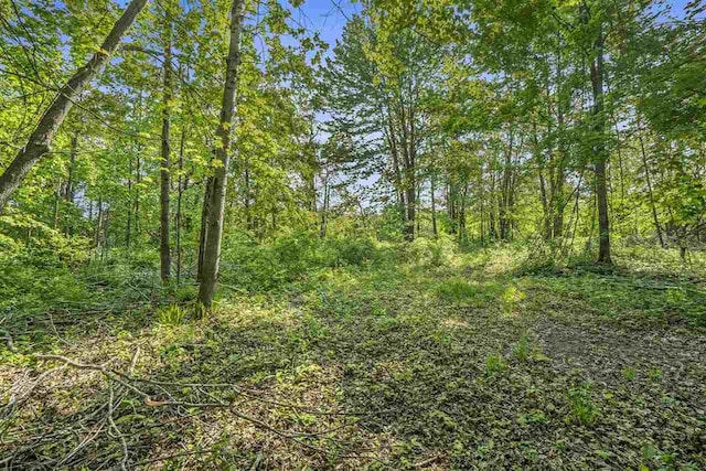 4121 E Ridge Ct, Harbor Springs, MI 49740