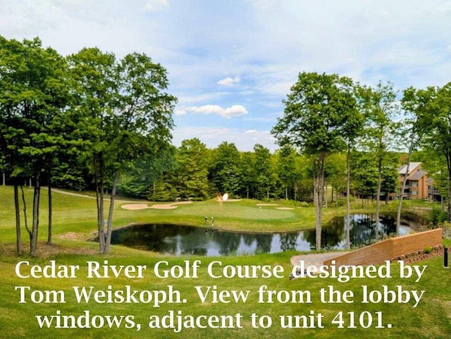2400 Troon S Unit 4101, Bellaire, MI 49615 - water view
