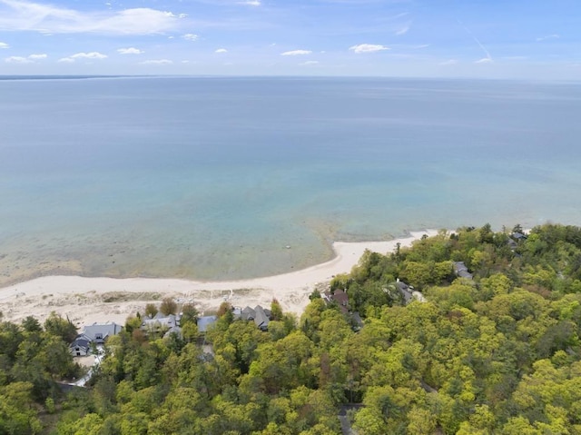 8385 Seven Mile Point Ct, Harbor Springs, MI 49740