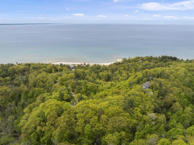 8385 Seven Mile Point Ct, Harbor Springs, MI 49740