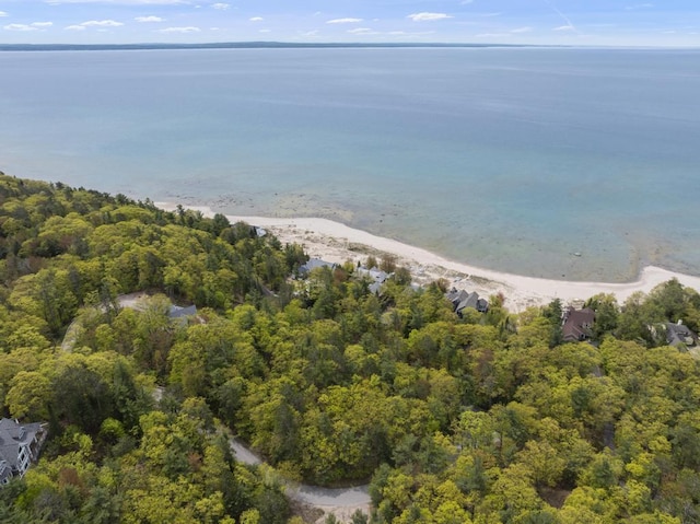 8385 Seven Mile Point Ct, Harbor Springs, MI 49740