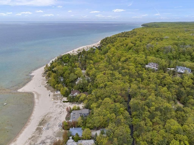 8385 Seven Mile Point Ct, Harbor Springs, MI 49740