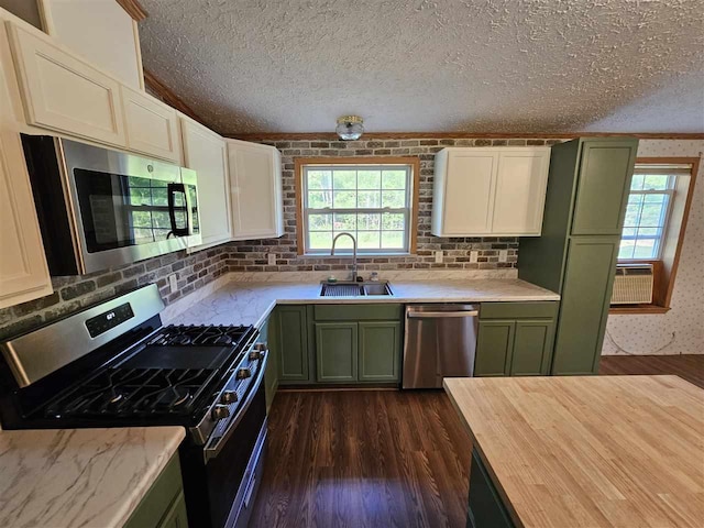 394 Townline Rd, Pellston, MI 49769 - kitchen with green cabinetry, stainless steel appliances, a sink, plenty of natural light, and a textured ceiling