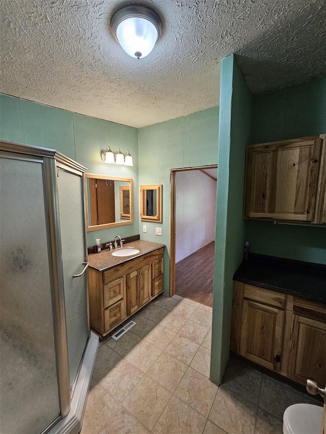394 Townline Rd, Pellston, MI 49769 - full bath featuring a shower stall, vanity, and a textured ceiling