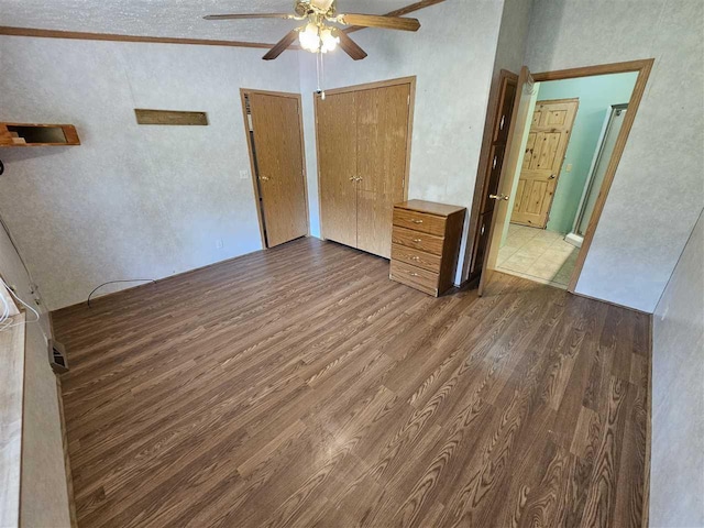 394 Townline Rd, Pellston, MI 49769 - unfurnished bedroom with dark wood-style flooring, two closets, and a ceiling fan