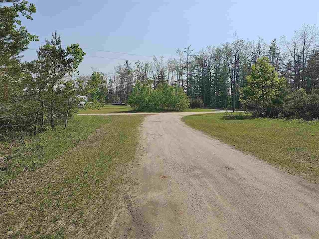 394 Townline Rd, Pellston, MI 49769 - view of dirt / gravel road