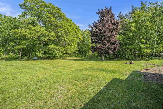 5791 Lebaron St, Levering, MI 49755 - view of green lawn with a forest view